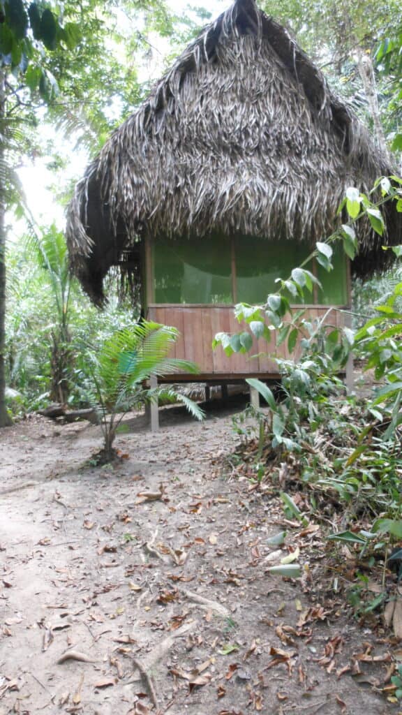 psychedelic integration hut in the Amazon