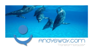 andysway.com